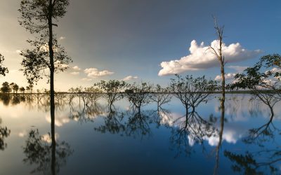 Flood Zones Decoded: What Tampa Homeowners Need to Know About FEMA Maps