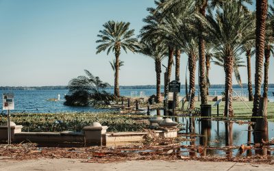 Don’t Delay: What to Do After a Hurricane to File Your Insurance Claim